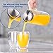 Ecooe 1.5 Litre Glass Carafe with Stainless Steel Lid, Borosilicate Glass Jug for Hot/Cold Water, DIY Drinks, Juice, Milk, Tea, Coffee
