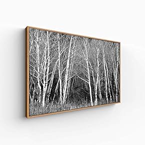 Canvas Wall Art for Living Room, Bedroom Monochrome Plants Framed Canvas Prints for Home Decoration Ready to Hang - 16x24 inches
