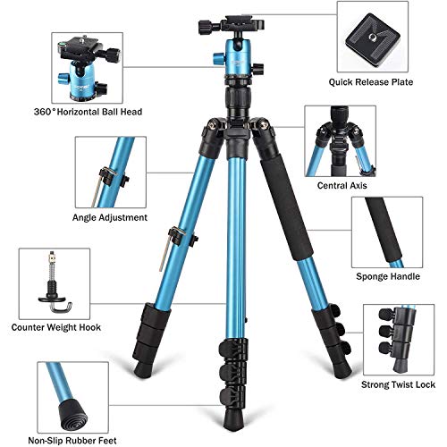 Zomei M3 Tripod Travel Monopod Lightweight Compact with 360 Degree Ball Head and Carry Bag for DSLR Canon, Nikon, Sony Camera (Blue)