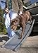 PetSTEP Tote'N Store Folding Pet Ramp  ~ Petstep 