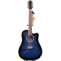 washburn 12 saitige gitarre
