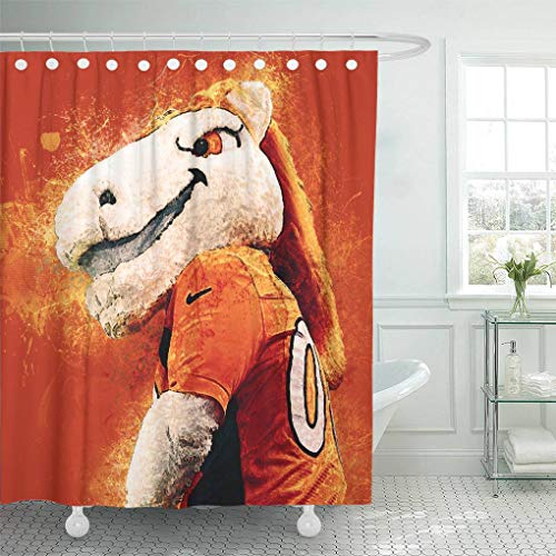 Ladble Decor Shower Curtain Set With Hooks Miles Official Mascot