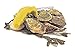 Swissmar Shucker Paddy Universal Oyster Knife, Yellow Handle, 8 x 2.5 x 1 inches