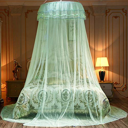 Jolitac Bed Canopy Lace Mosquito Net for Girls Beds, Unique Princess
