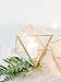 Bella's Garden Mini Gold Geometric Terrarium Jewelry Display Device Wedding Ring Box Brass Home Decor Container (Small)