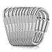 D-FantiX Aluminum Carabiner Keychain, Locking Carabiner Clip with Key Rings Silver (Set of 10)