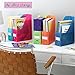Whitmor Plastic Magazine Organizers, Set of 10, Assorted colors