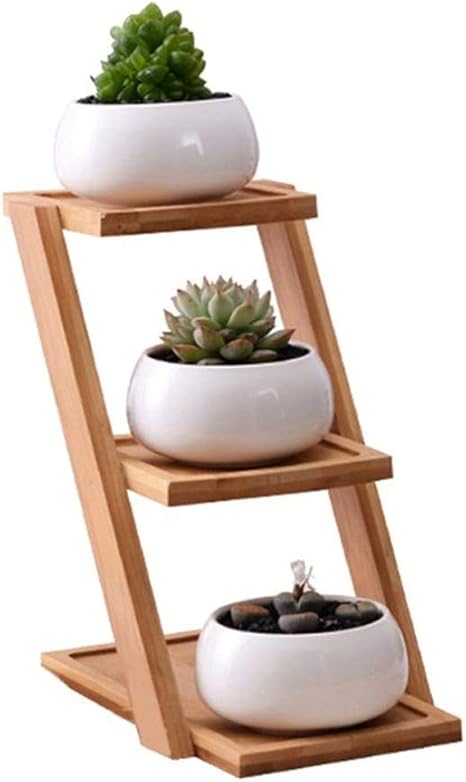 Amazon 3階セラミック小さな丸い多肉植物フラワーポットプランター竹スタンドホルダー環境保護鉢植えポット Soul Hill 栽培キット オンライン通販
