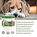 POINTPET Hemp Calming Chews for Dogs with Organic Hemp Oil - Helps Animals Cope with External Stress, Promotes Relaxation - Natural Calming Bites, 90 Turkey Flavored Soft Chews