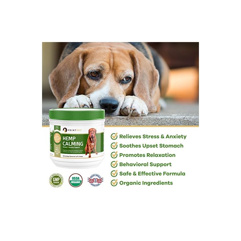 Anxiety Relief For Dogs LakeHouseLifer