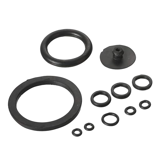 ITISLL Garden Pump Sprayer Spare Parts ，O Ring Repair kit (220NBO
