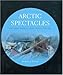 Arctic Spectacles: The Frozen North in Visual Culture, 1818-1875 by