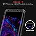 Phone Screen Protector, HP95(TM) 3D PET Curved Full Screen Protector Film for Samsung Galaxy S8 Plus /S8 (Samsung Galaxy S8 Plus 6.2 inch)