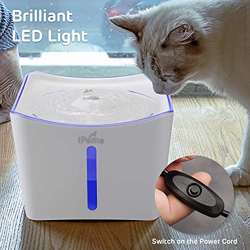 iPettie Kamino Pet Water Fountain, 101oz/3L, UltraQuiet Automatic Cat