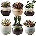 SUN-E 6 in Set 2.5 Inch Ceramic Flowing Glaze Black&White Base Serial Set Succulent Plant Pot Cactus Plant Pot Flower Pot Container Planter Idea