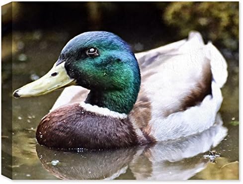 Mallard Drake Wading on Pond - Cracked Fresco-Outdoor Wall Art - Weatherprint - Weatherproof Art for Indoor or Outdoor Canvas Art