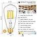 CRLight 10W Dimmable LED Edison Bulb 100W Equivalent 1000Lumen 3000K Soft White, E26 Medium Base ST64 Antique LED Filament Light Bulbs, Smooth Dimming Version, 2 Pack