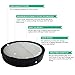 Crucial Vacuum Replacement Vacuum Filter – Compatible with Hoover Vacuum Model Primary Filter Part # 303903001, Model UH70400, UH70405, UH70401, UH70403, UH70404, UH70900, UH70905, UH70930 (2 Pack)