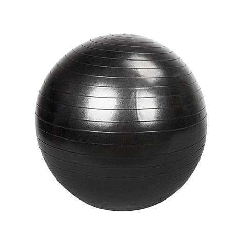 Amazon.com: Swanluck Exercise Ball, Stability and Yoga Ball ...