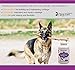 GLUCOSAMINE for Dogs 800mg Hip and Joint Supplement with MSM Chondroitin and Vitamin C - 120 BEEF flavor HIGH STRENGTH Natural Chewable JOINT AID Tablets For Dog Arthritis Pain Relief & Hip Dysplasia