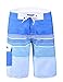 Nonwe Men's Beachwear Striped Printed Boartshort with Mesh Lining