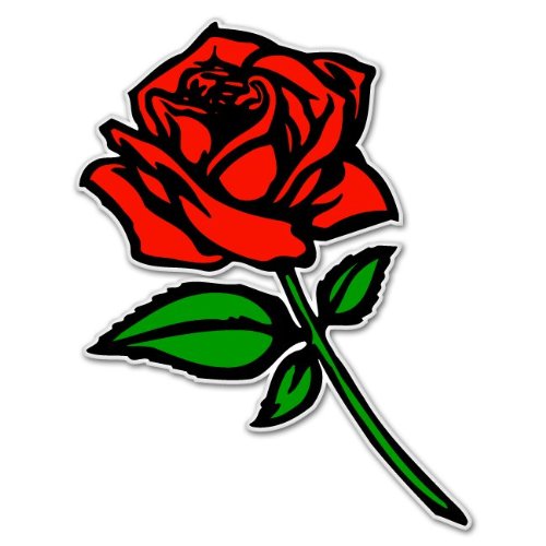 Red rose car bumper sticker window decal 5" x 3"