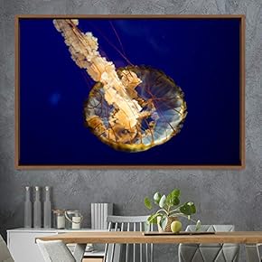 signwin Framed Canvas Wall Art Jellyfish Floating Colorful...