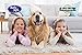 PUUR Home Natural Laundry Stain Remover XL 32 oz Spray - Removes Spots and Odors, Safe on All Fabrics - Biodegradable - Non Toxic - Child and Pet Safe