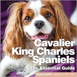 amazon cavalier king charles spaniel
