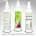 Vet Recommended Hot Spot Treatment For Dogs - All Natural Anti-Itch Anti-Fungal Spray for Dogs Dry Skin, Allergies Relief - Made in USA by 8oz/240ml