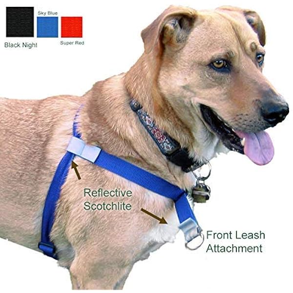 best way to walk a dog that pulls