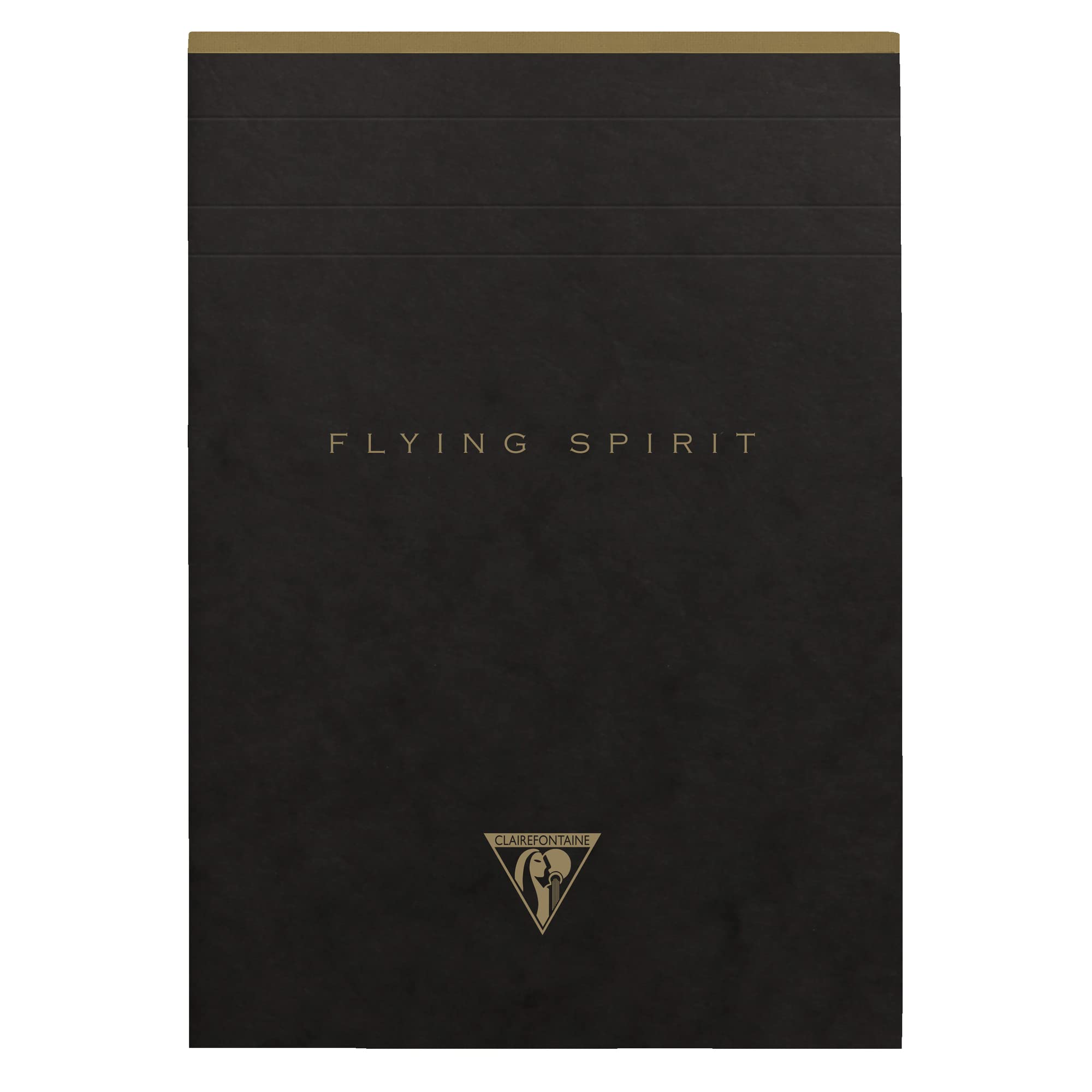 Clairefontaine 102636C - One Flying Spirit 140-page detachable ivory pad - Size 14.8 x 21 cm - 90g lined, black colour glossy card cover, random pattern