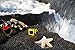 Kodak PIXPRO SP1 Action Cam with Explorer Pack 14 MP Water/Shock/Freeze/Dust Proof,...