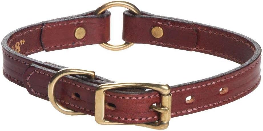 Mendota leather dog collar Outlet