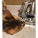 iTouchless EZ Faucet PRO Automatic Sensor Faucet Adapter for Bathroom, Kitchen Sink, also use as Cat Fountain and Pet Water Dispenser