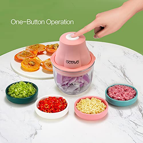 Electric Mini Garlic Chopper, OCTAVO 45W Food Processor Portable