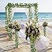 HAPOWELL Artificial Ivy, Galanga Plant Leaves, 12 Strands of 87-Foot Artificial Galanga Green Fake Ivy Leaves, Hanging Room, Flower Office Wedding Party Wall Outdoor Decoration