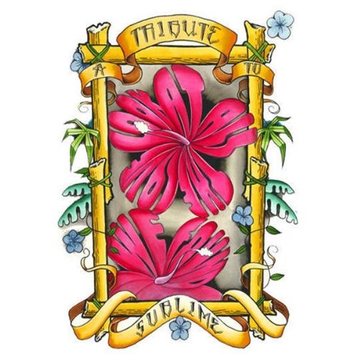 Look at All the Love We Found Various, Sublime Tribute Amazon.de Musik