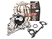 Evergreen TBK323WP2 Compatible With 03-06 Kia Sorento 3.5L DOHC G6GU Timing Belt Kit GMB Water Pump