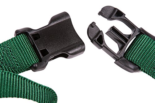 GoGo Pet Products GoGo 3/4-Inch Martingale Dog Collar, Medium, Hunter Green