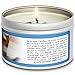 Jackpot Candles Surprise Size Ring Vanilla Cupcake Jewelry Candle Travel Tin