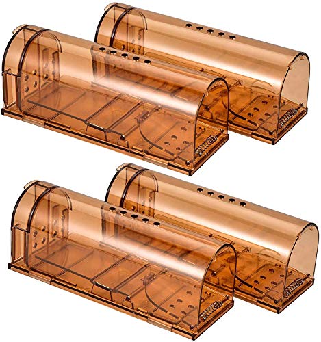 No mice so far but easy to use and check these traps