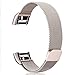 Hotodeal Compatible Fitbit Charge 2 Bands, Band Milanese Loop Stainless Steel Magnet Metal Replacement Bracelet Strap, Wristbands Accessories for Women Men, Champagne