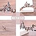 Aukmla Wedding Tiara Crown Vintage Gold Princess Headpiece Flowers Bridal Headbands for Women and Girls