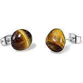 Tiger Eye Earrings, Stainless Steel Brown Earrings for Women and Men
