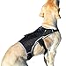 Peak Pooch - No-Pull Dog Harness - Padded, Mesh Fabric Dog Vest with Reflective Trim, Lifting Handles and Buckle Straps - Black Dog Harness - L