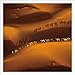 Art Wolfe: Travels to the Edge 2015 Wall Calendar