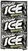 Dentyne Ice Arctic Chill Sugar-Free Gum, 12 Count