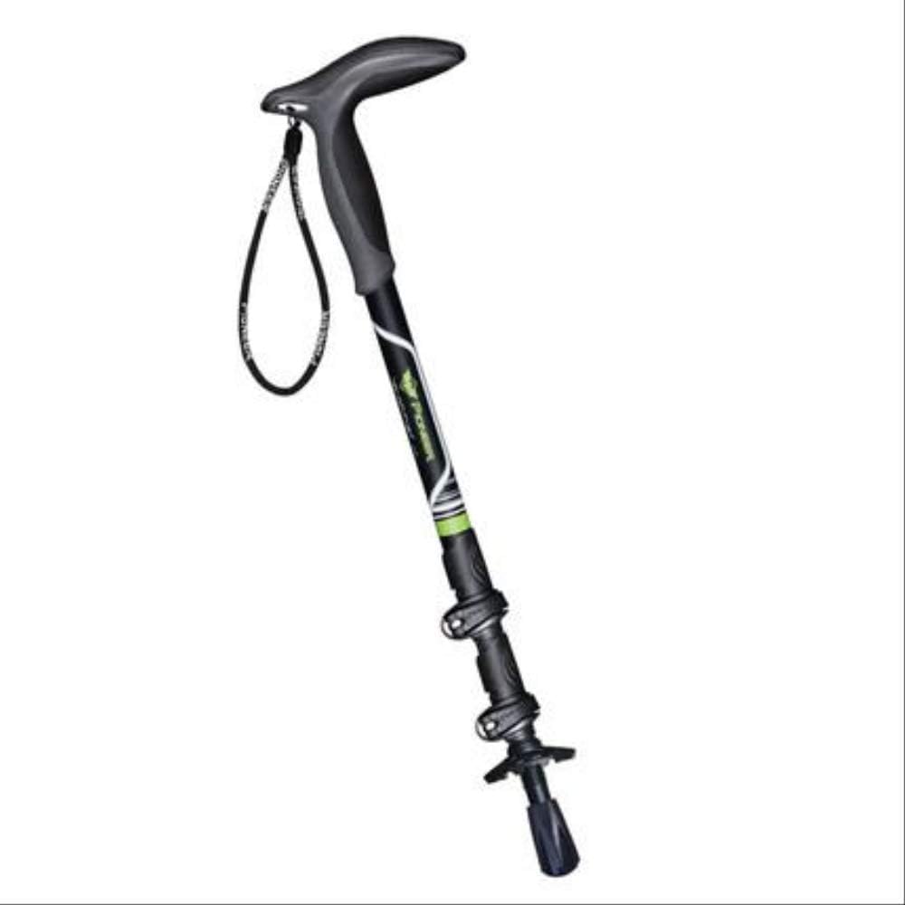 compact walking stick