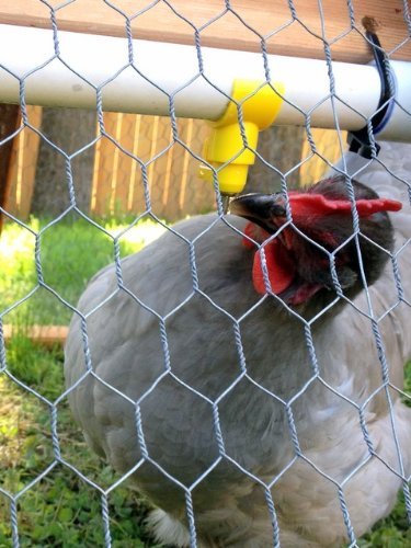 Ushoppingcart 5/10/25/50/100 Pack ***Saddle Style***Oasis Poultry Water Nipples Turkeys, Geese or Ducks (5pcs)